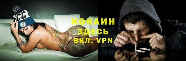 spice Алексин