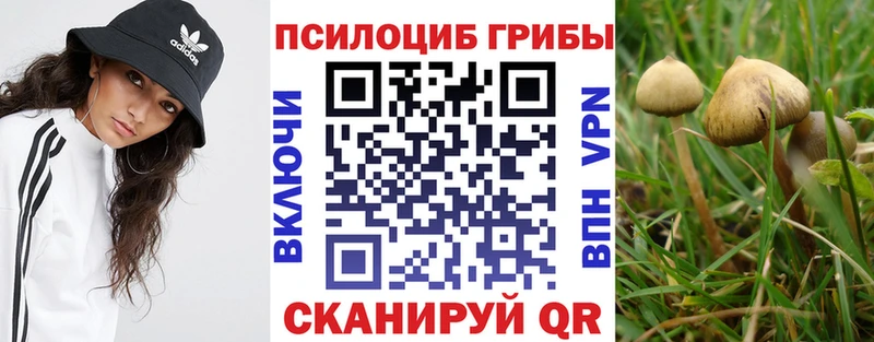 Псилоцибиновые грибы ЛСД  Светлоград 